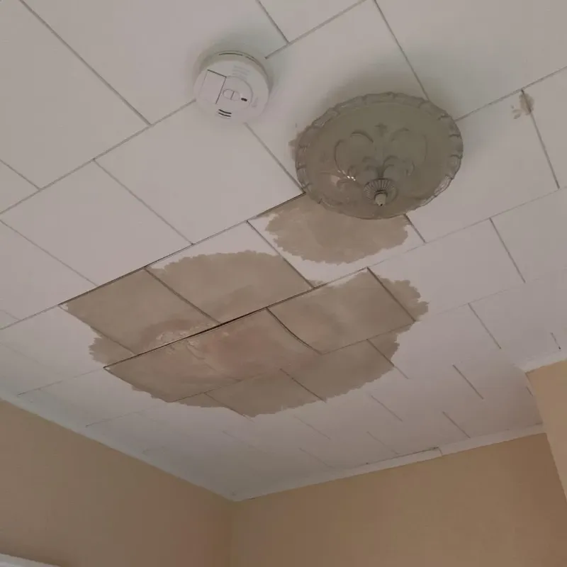 Ceiling Water Damage Repair in Calhoun County, AR