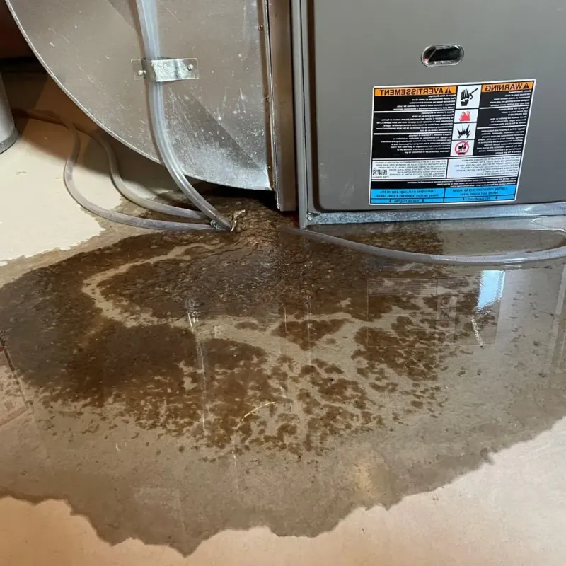Pipe Burst and Leak Restoration in Calhoun County, AR