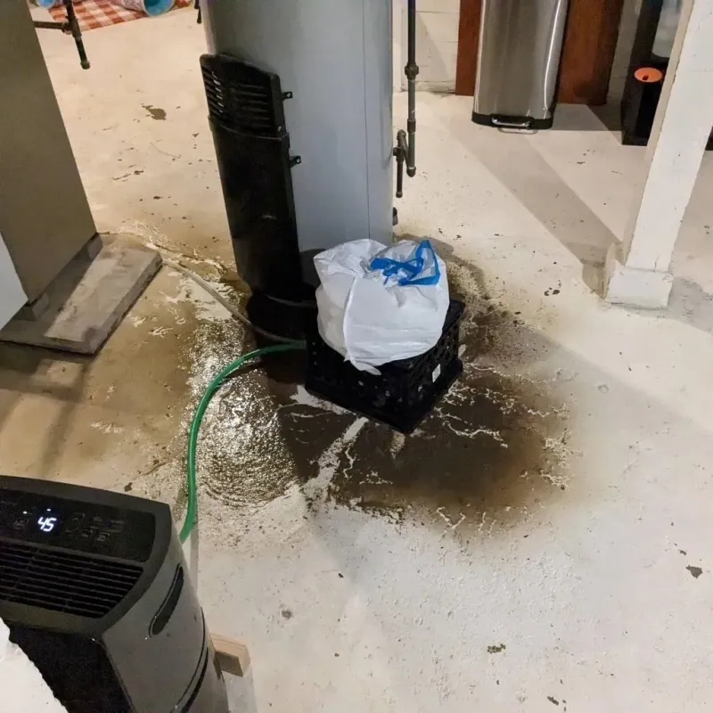 Sewage Backup Cleanup Service in Calhoun County, AR
